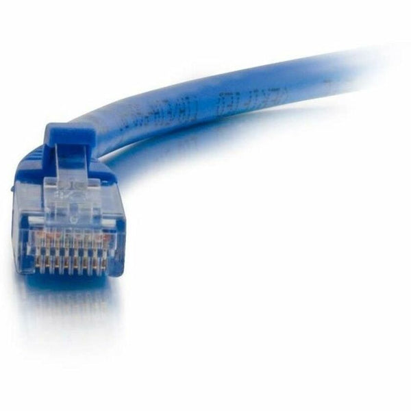 241995903.jpg