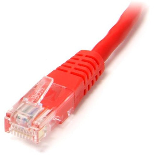 242005500.jpg