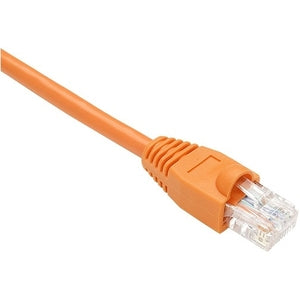 242039878.jpg