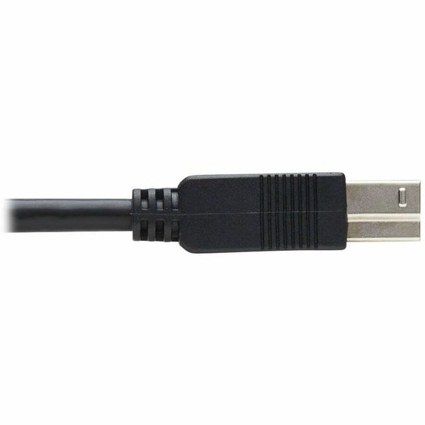 242164567.jpg