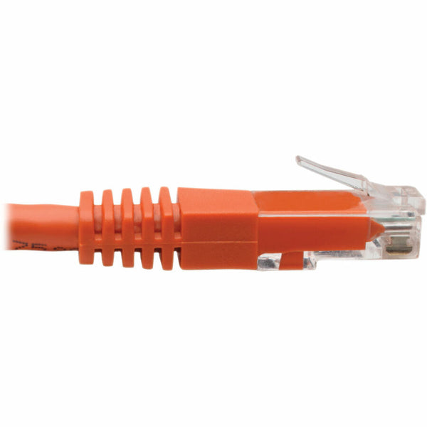 242169881.jpg