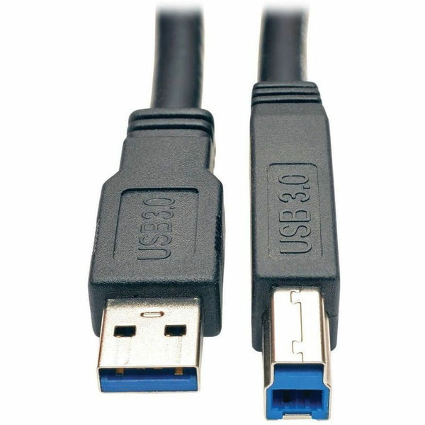 242229950.jpg