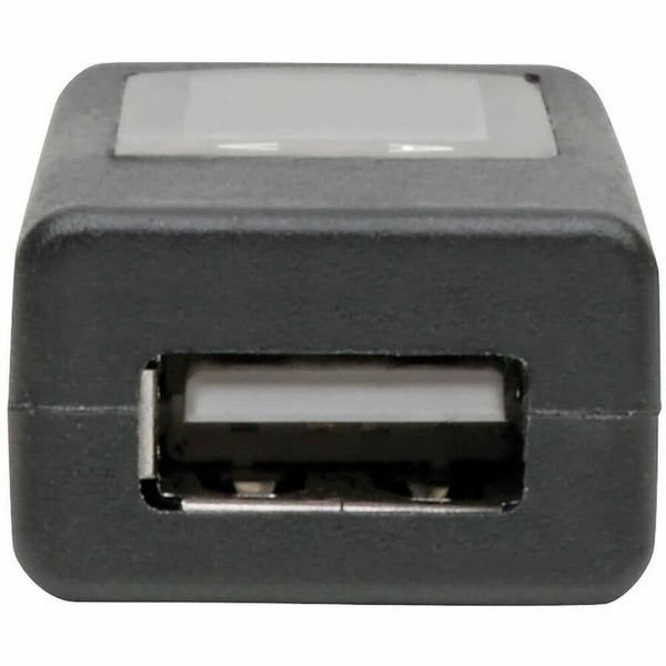 242235544.jpg