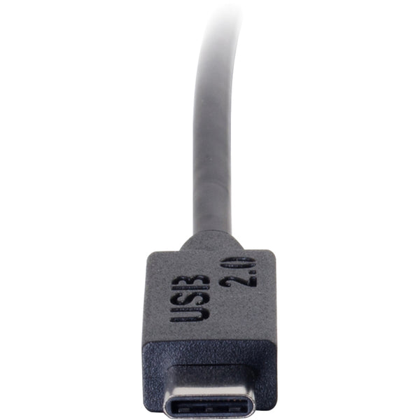 242305820.jpg
