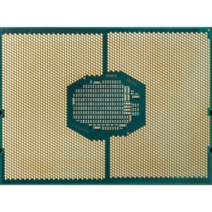 242389141.jpg