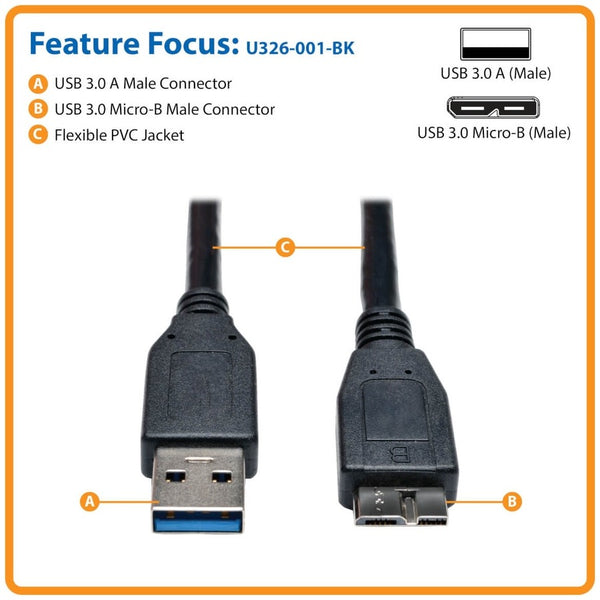 242423384.jpg