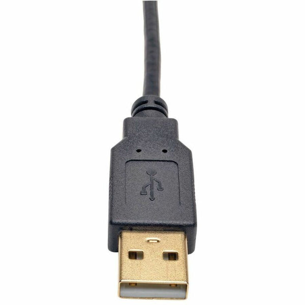 242432008.jpg