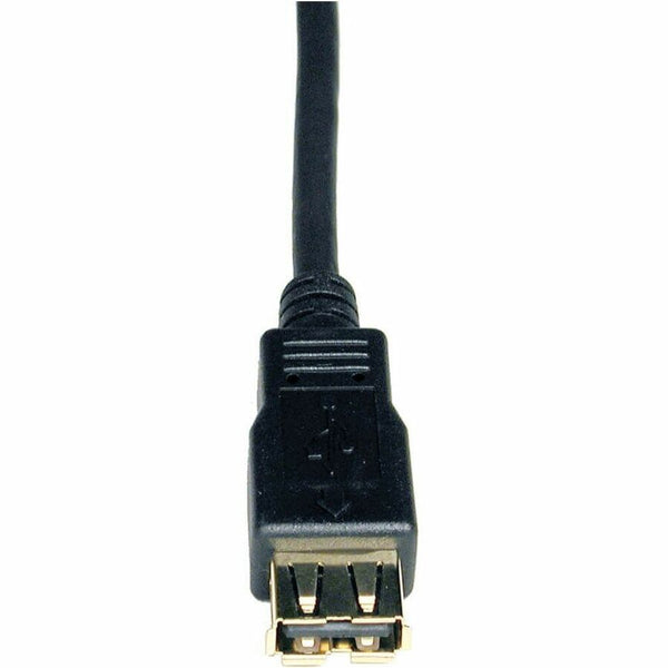 242433855.jpg
