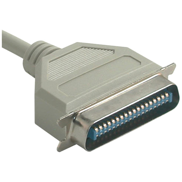242440230.jpg