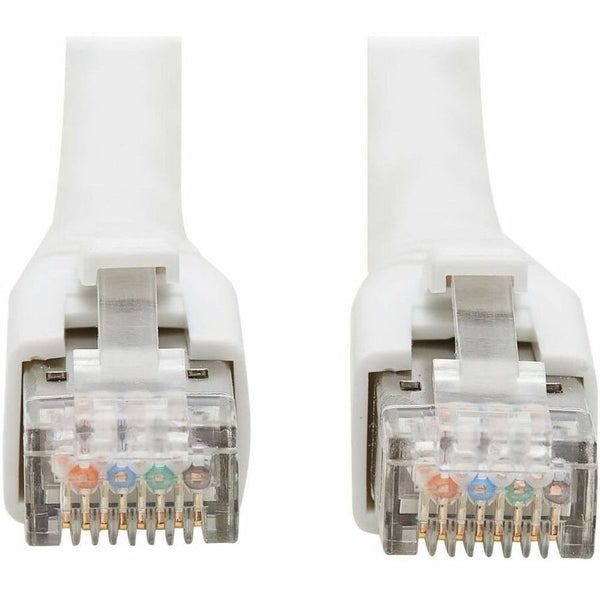 242445288.jpg