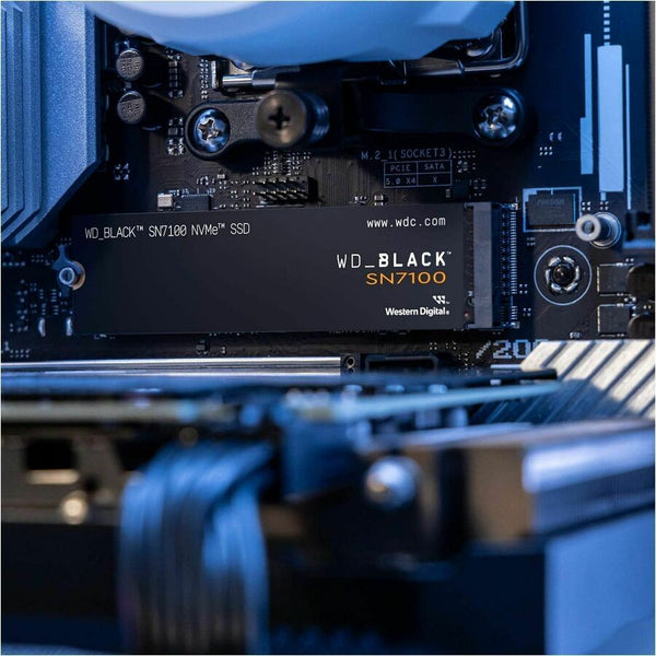 242453925.jpg