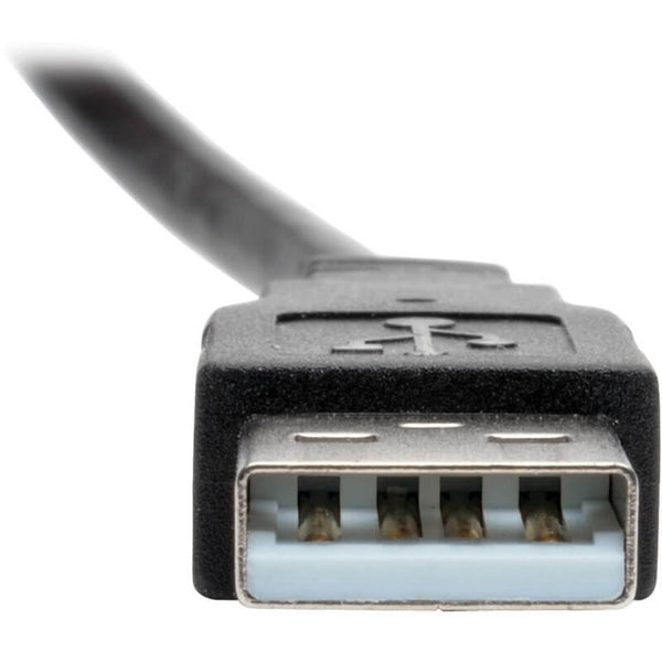 242492593.jpg