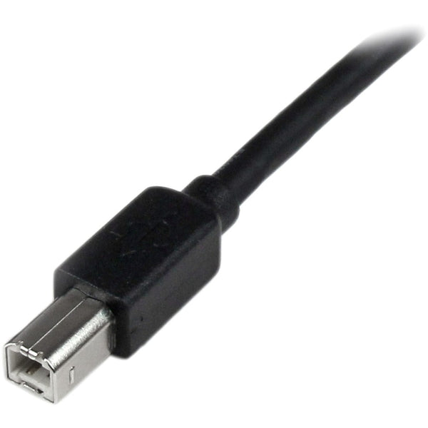 242502561.jpg