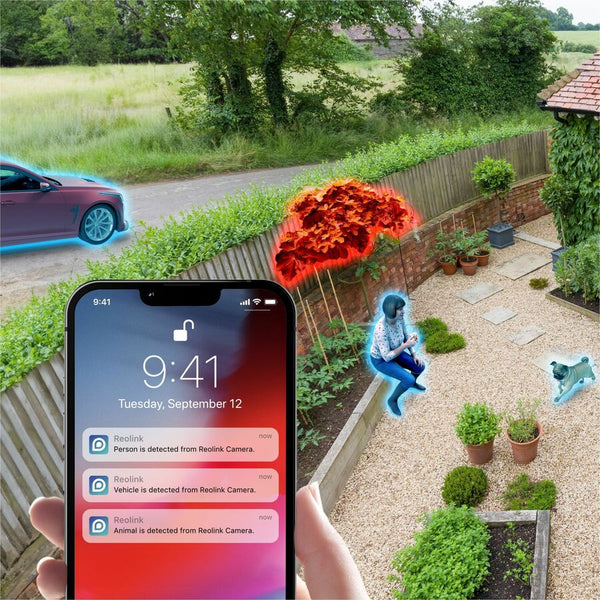 299856459.jpg