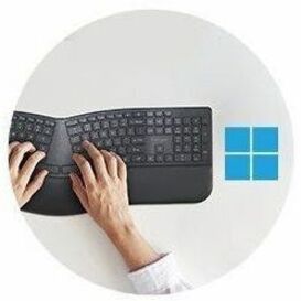 299856665.jpg