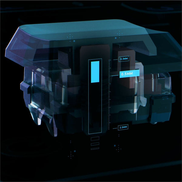 299861649.jpg