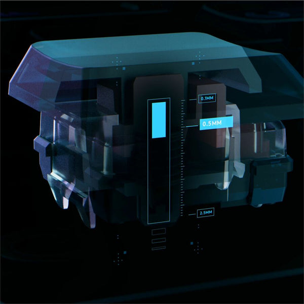 299861911.jpg