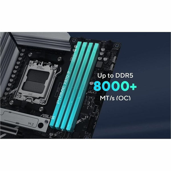 299874817.jpg