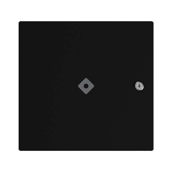 Rhombus DC20 Door Controller
